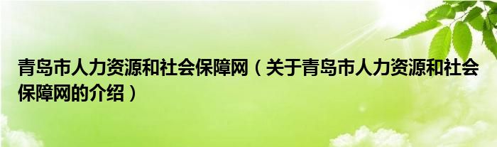 青岛市人力资源和社会保障网（关于青岛市人力资源和社会保障网的介绍）