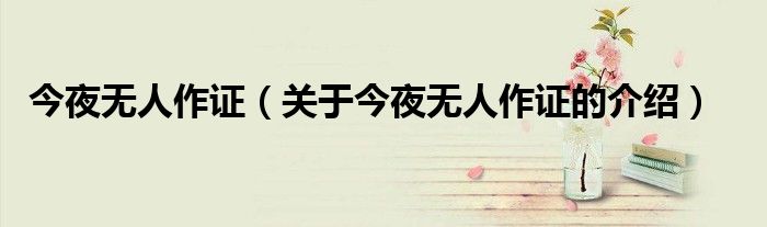 今夜无人作证（关于今夜无人作证的介绍）