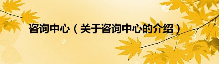 咨询中心（关于咨询中心的介绍）