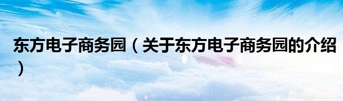 东方电子商务园（关于东方电子商务园的介绍）