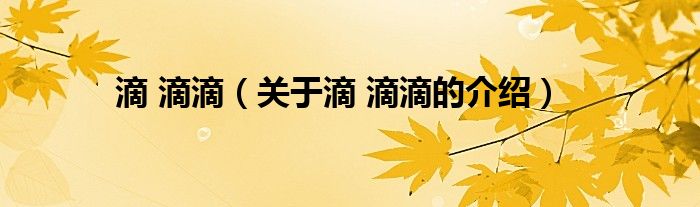 滴 滴滴（关于滴 滴滴的介绍）