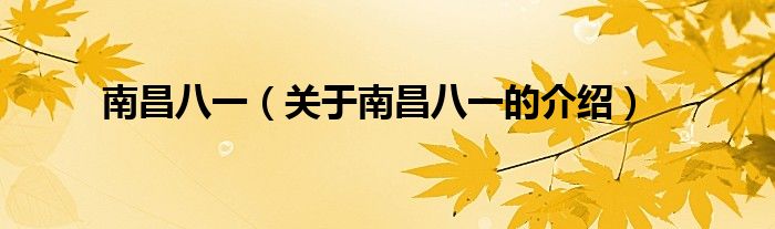 南昌八一（关于南昌八一的介绍）