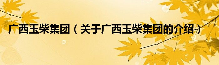 广西玉柴集团（关于广西玉柴集团的介绍）
