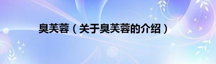臭芙蓉（关于臭芙蓉的介绍）