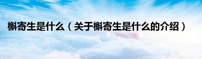 槲寄生是什么（关于槲寄生是什么的介绍）