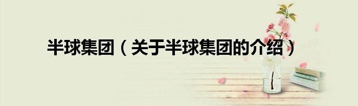 半球集团（关于半球集团的介绍）