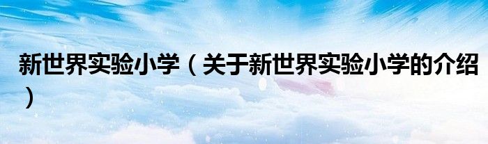 新世界实验小学（关于新世界实验小学的介绍）
