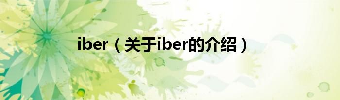 iber（关于iber的介绍）
