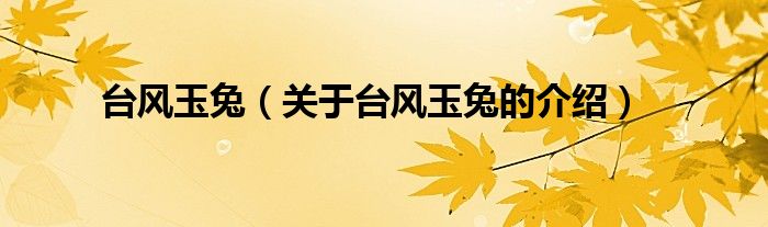 台风玉兔（关于台风玉兔的介绍）