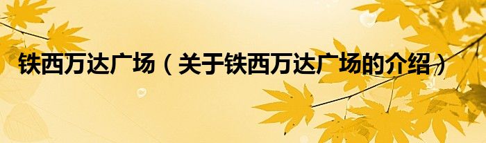 铁西万达广场（关于铁西万达广场的介绍）