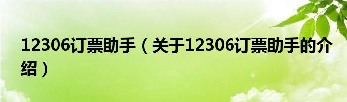 12306订票助手（关于12306订票助手的介绍）