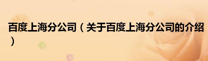 百度上海分公司（关于百度上海分公司的介绍）