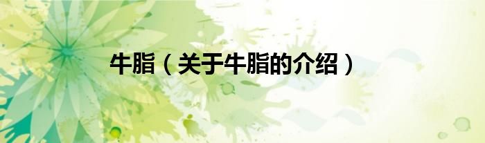 牛脂（关于牛脂的介绍）
