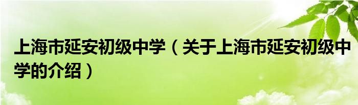 上海市延安初级中学（关于上海市延安初级中学的介绍）