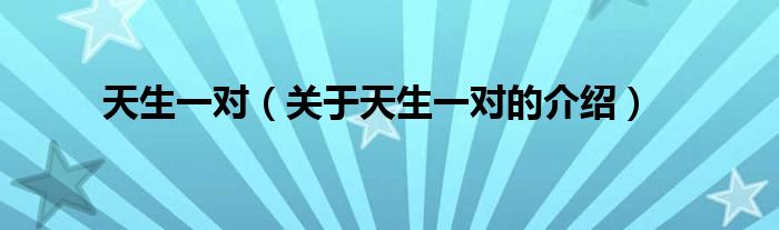 天生一对（关于天生一对的介绍）