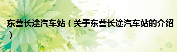 东营长途汽车站（关于东营长途汽车站的介绍）