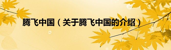 腾飞中国（关于腾飞中国的介绍）