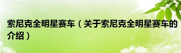 索尼克全明星赛车（关于索尼克全明星赛车的介绍）
