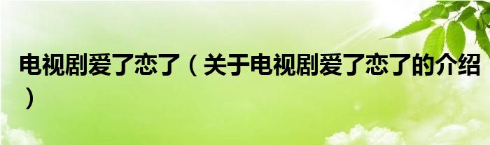 电视剧爱了恋了（关于电视剧爱了恋了的介绍）
