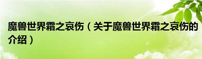 魔兽世界霜之哀伤（关于魔兽世界霜之哀伤的介绍）