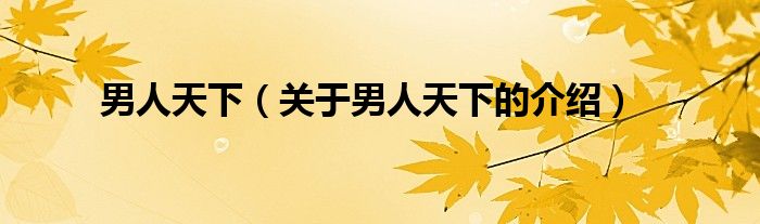 男人天下（关于男人天下的介绍）
