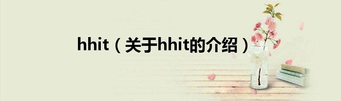 hhit（关于hhit的介绍）