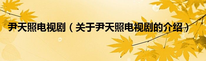 尹天照电视剧（关于尹天照电视剧的介绍）