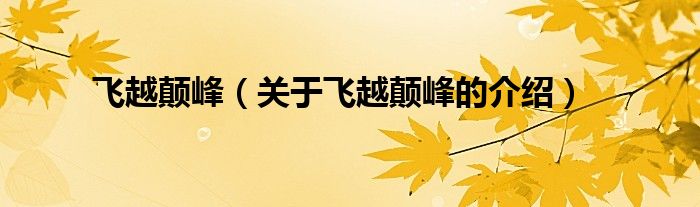 飞越颠峰（关于飞越颠峰的介绍）