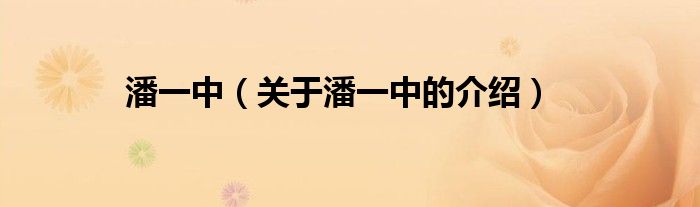 潘一中（关于潘一中的介绍）