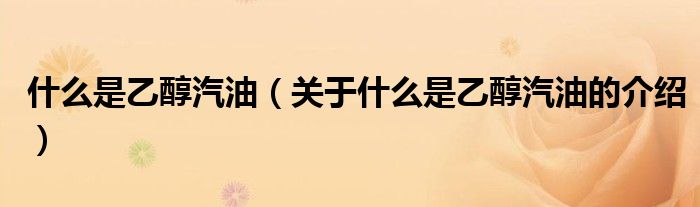 什么是乙醇汽油（关于什么是乙醇汽油的介绍）