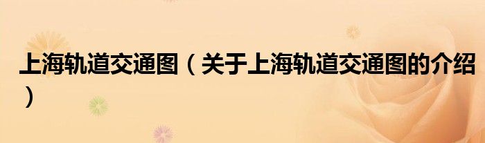 上海轨道交通图（关于上海轨道交通图的介绍）