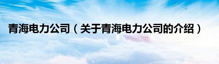 青海电力公司（关于青海电力公司的介绍）