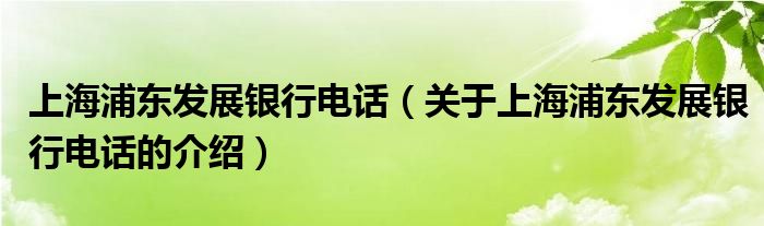 上海浦东发展银行电话（关于上海浦东发展银行电话的介绍）