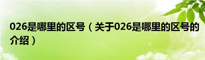 026是哪里的区号（关于026是哪里的区号的介绍）