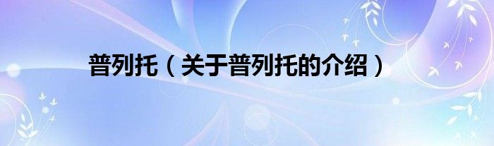 普列托（关于普列托的介绍）