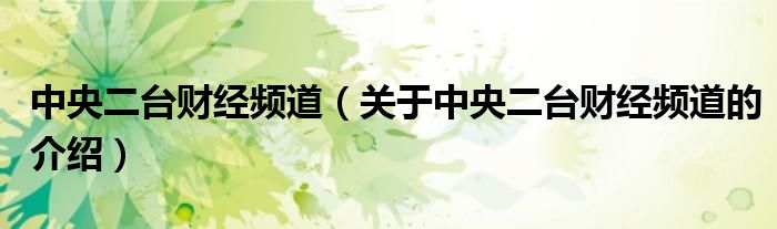 中央二台财经频道（关于中央二台财经频道的介绍）