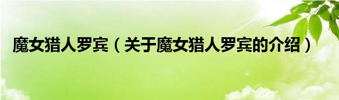 魔女猎人罗宾（关于魔女猎人罗宾的介绍）