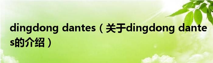 dingdong dantes（关于dingdong dantes的介绍）