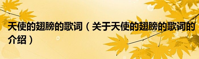 天使的翅膀的歌词（关于天使的翅膀的歌词的介绍）