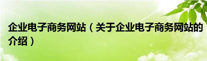 企业电子商务网站（关于企业电子商务网站的介绍）