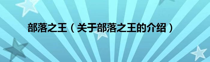 部落之王（关于部落之王的介绍）