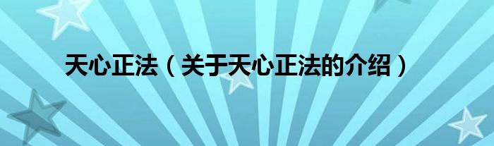 天心正法（关于天心正法的介绍）
