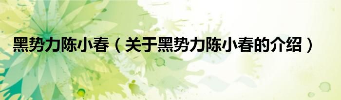 黑势力陈小春（关于黑势力陈小春的介绍）