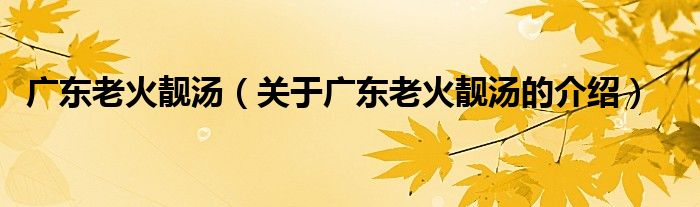 广东老火靓汤（关于广东老火靓汤的介绍）