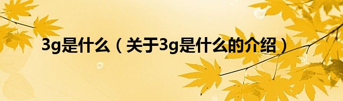 3g是什么（关于3g是什么的介绍）