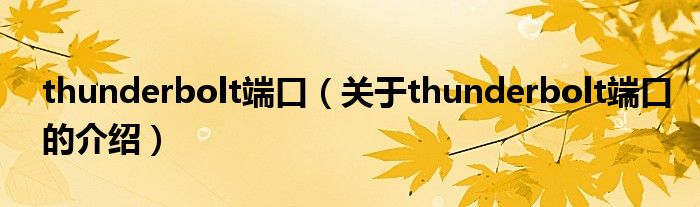 thunderbolt端口（关于thunderbolt端口的介绍）