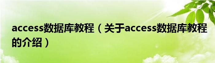 access数据库教程（关于access数据库教程的介绍）