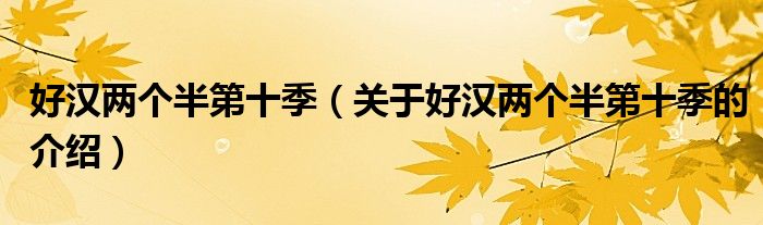 好汉两个半第十季（关于好汉两个半第十季的介绍）