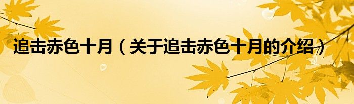 追击赤色十月（关于追击赤色十月的介绍）