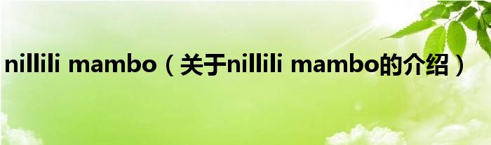 nillili mambo（关于nillili mambo的介绍）